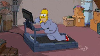 homer2